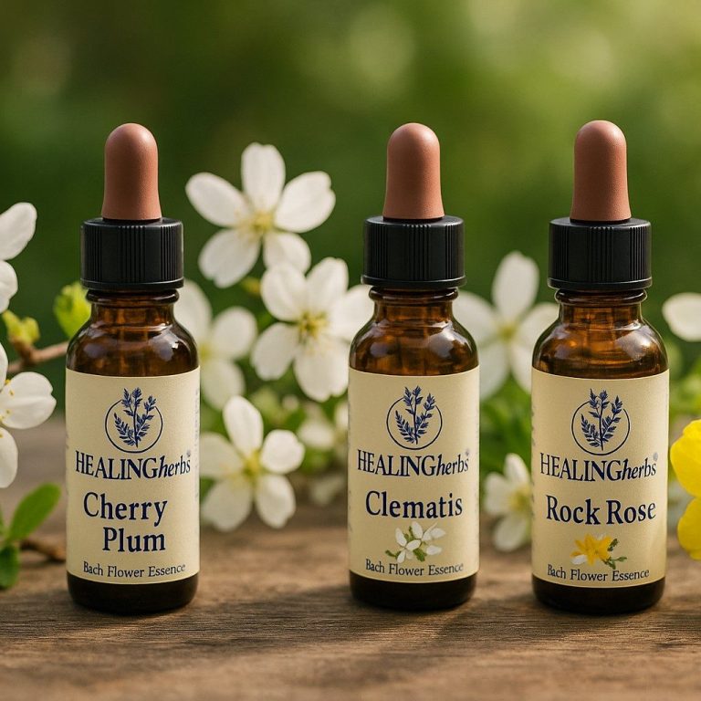 Bachblütentherapie in der Heilpraxis Bachblütenfläschchen für die Bachblütentherapie